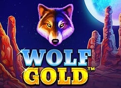 Wolf G Onyx Casino Game  Onyx Casino Online