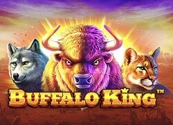 Buffalo King Onyx Casino Slot  Onyx Casino Online