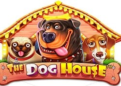 Dog House Onyx Casino Game  Onyx Casino Online